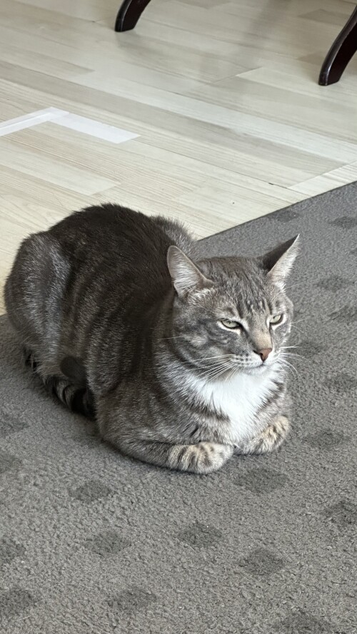 IMG_0127.jpeg