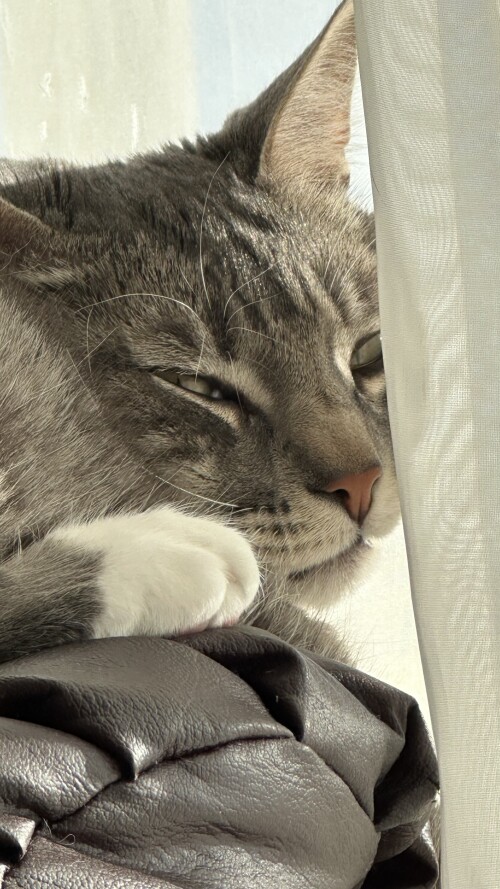 IMG_9632.jpeg